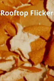 Rooftop Flicker movie poster