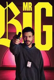 MR BIG tv show poster