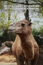 My Epic Camel Adventure With Gordon Buchanan movie poster