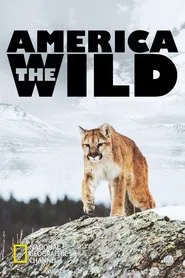 America the Wild with Casey Anderson tv show poster