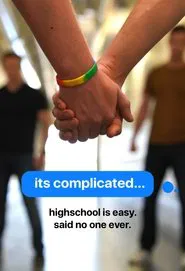 It's Complicated tv show poster