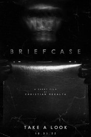 Briefcase movie poster