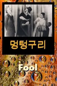 Fool movie poster