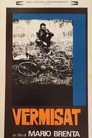 Vermisat movie poster