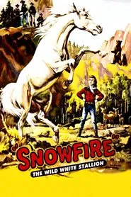 Snowfire movie poster