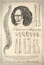 Poster do filme Luzonensis Osteoporosis