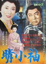 Poster do filme 晴小袖