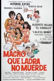 Poster do filme Macho que ladra no muerde