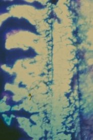 Failures movie poster