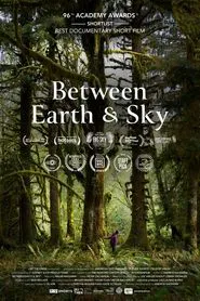 Between Earth & Sky movie poster