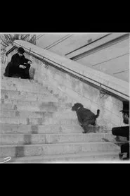 Chien, Caniche Noir Descendant et Montant Un Escalier movie poster