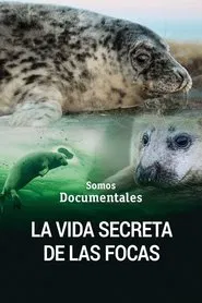 Poster do filme The Secret Life of the Seal