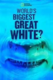 World's Biggest Great White? movie poster