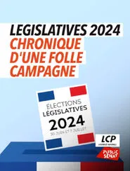Législatives 2024 : chronique d'une folle campagne movie poster