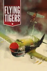 Poster do filme Tigres Voadores