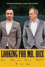 Looking for Mr. Dice movie poster