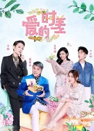 Poster da série 爱的时差
