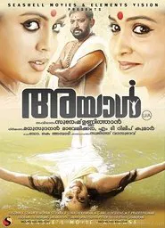 Poster do filme Ayal