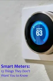 Smart Meters: 13 Things They Don't Want You to Know movie poster