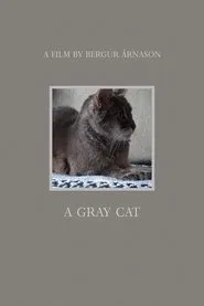 A gray cat movie poster