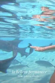 la belleza permanece movie poster