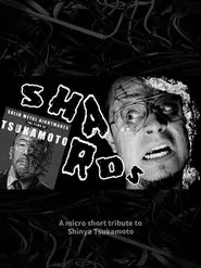 Shards movie poster