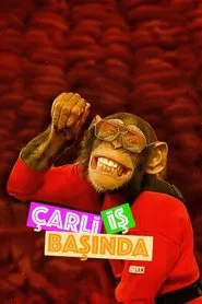 Poster da série Charlie
