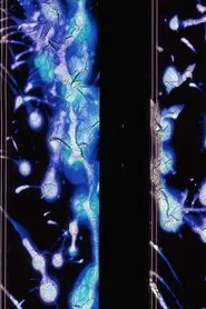 Poster do filme The Cracked Share