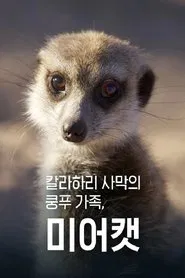 Poster da série 칼라하리 사막의 쿵푸 가족, 미어캣