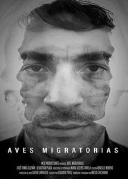 Migratory Birds movie poster
