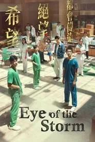 Eye of the Storm movie poster