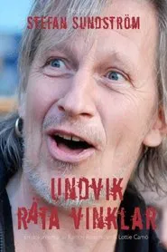 Undvik räta vinklar movie poster