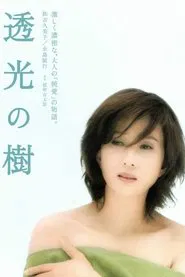 Translucent Tree movie poster