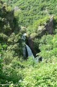 sara original movie poster