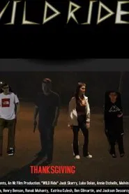 Wild Ride movie poster