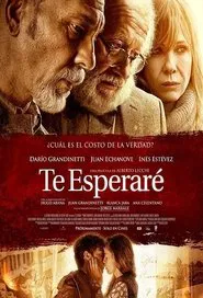 Poster do filme Te esperaré