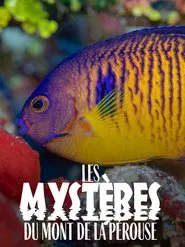 The mysteries of Mont La Pérouse movie poster