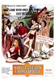Poster do filme Southern Comforts