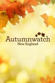 Autumnwatch New England tv show poster