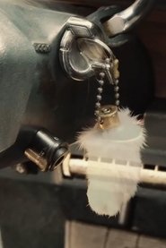 Paradox Bullets movie poster