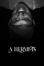 Poster do filme A Hermits