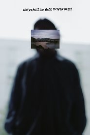 Why Do Ants Go Back To Their Nest? movie poster