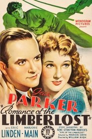 Romance of the Limberlost movie poster