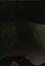 Vórtice Magnético ou Mecanismo de Dobra Fantasmática movie poster