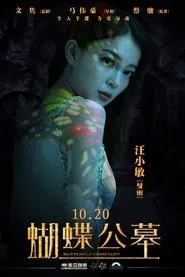 On Fallen Wings movie poster