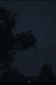 What Andy Never Knew movie poster