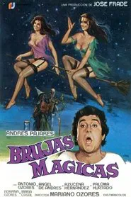 Magical Witches movie poster