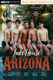 The Lake House: Arizona movie poster