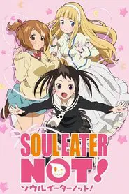 Soul Eater Not! tv show poster