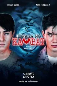 Mystery of the Twin Bat tv show poster